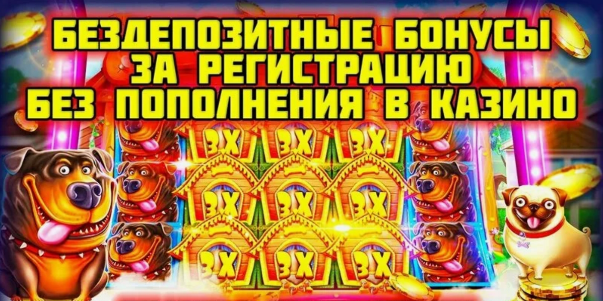 Новые бонусы казино с выводом без пополнения 2026